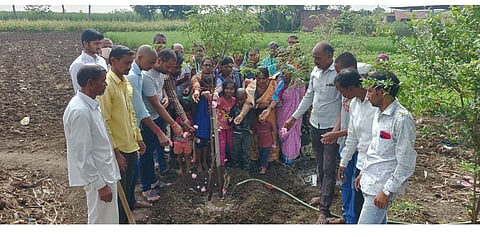 नदीत अस्थी विसर्जन टाळून वृक्षारोपणाचा निर्णय; आळंदी म्हातोबा ग्रामस्थांचे होतेय कौतुक