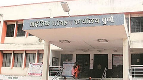 rto pune