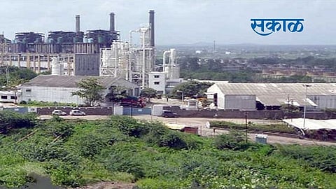 sakal (59).jpg