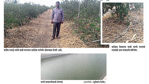 Quality production in drought areas