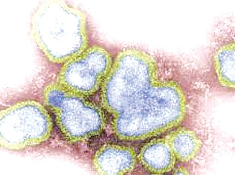 97 ili and sari patients found in aheri of gadchiroli