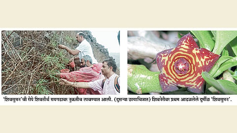 shivsuman