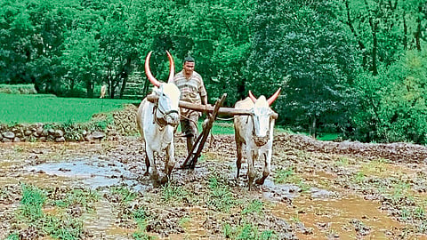 patan