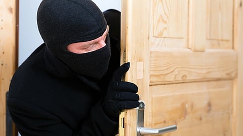 thief 2.jpg