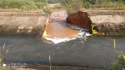 Tilari canal rupture konkan sindhudurg