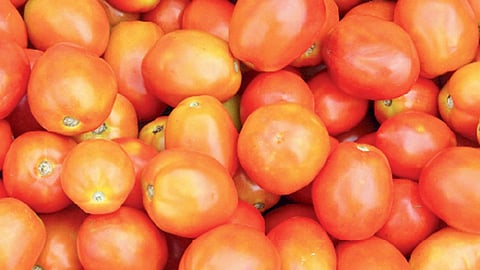 Vegetables tomato price hike Substitutes for tomato food hotel business