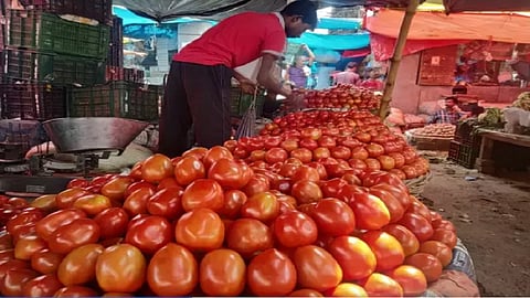 tomatoes.jpg