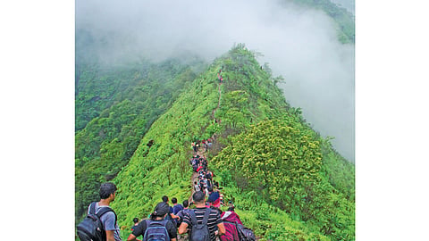 trekking