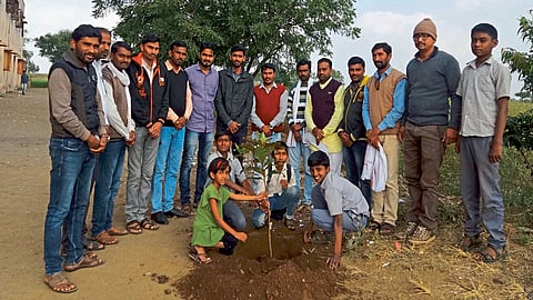 vruksha.1.jpg