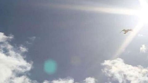 weather