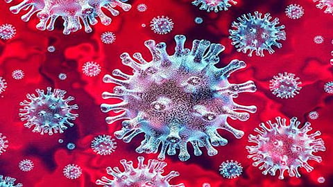 02_06_2020-coronavirus_5_20340561_151635999.jpg