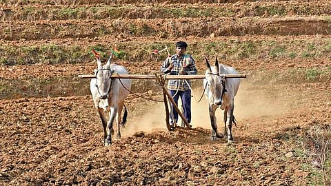now Agricultural loan process will become easy for farmers