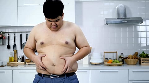 these are the reasons behind big fatty stomach read full story