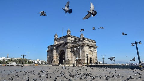 हवा गुणवत्ता सुधारणेत मुंबईकरांची सर्वोत्कृष्ठ कामगिरी; केंद्राकडूनही सर्वाधिक अनुदान