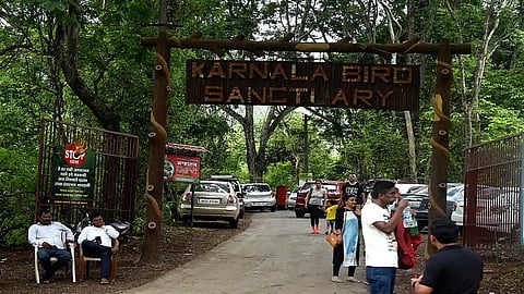 कर्नाळा पक्षी अभयारण्यात पहिल्यांदाच शास्त्रीय पद्धतीने पक्षांची गणना