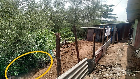 मार्वे बीच, मालवणीतील खारफुटींवर अवैध भराव; पर्यावरणवाद्यांची पोलिसांत तक्रार