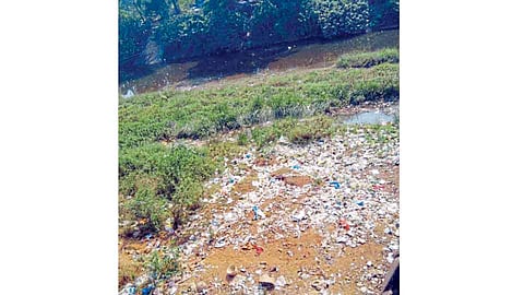 संगमेश्वरातील सोनवी नदीपात्रात प्लास्टिकचा खच
