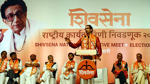 स्वबळाची डरकाळी