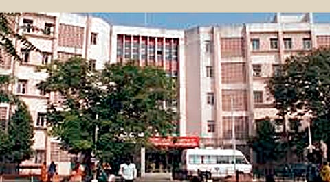 पित्याच्या किडनीदानातून मुलाला जीवनदान