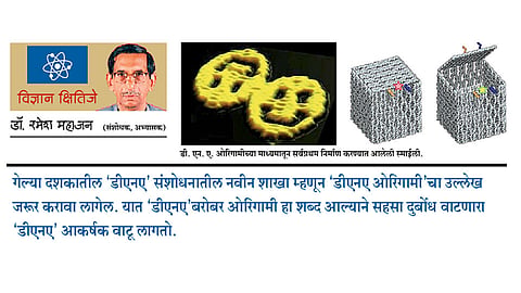 ‘डीएनए ओरिगामी’चे नवे अंतरंग