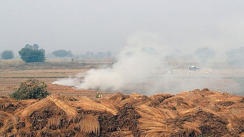 Unknown people fire out rice crops a farmer in Gadchiroli