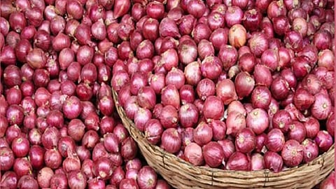 4Onion_92.jpg