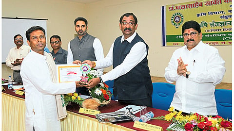 Paddy Cultivation Festival In Kudavale Ratnagiri Marathi News