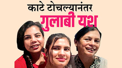 काटे टोचल्यानंतर गुलाबी यश