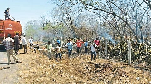 Satara Latest Marathi News