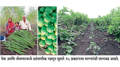 Agriculture