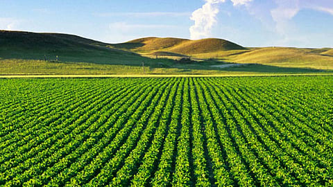 Agriculture