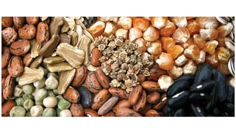Agriculture-Goods