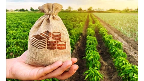 Agriculture-Loan