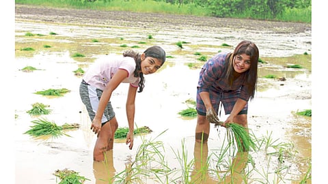 Ashwini-Darekar