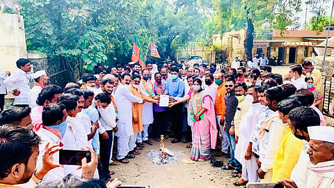Bjp Elgar