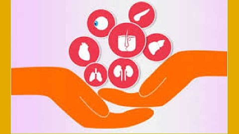 Body-Organ-Donate