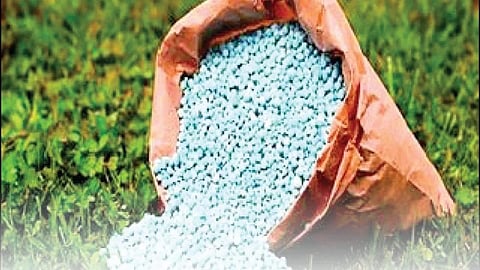 Rising prices of chemical fertilizers have crippled farmers financial budgets