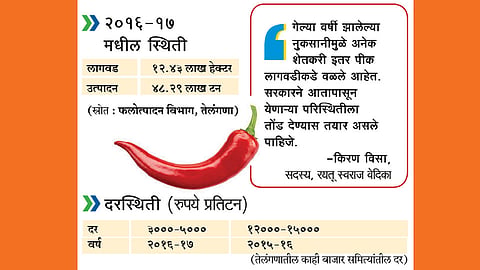 तेलंगणामध्ये मिरची उत्पादन घटणार