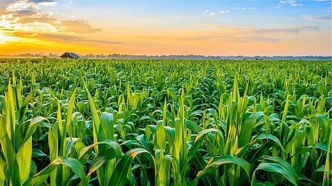 In order to develop farmers it is necessary to do agri-business