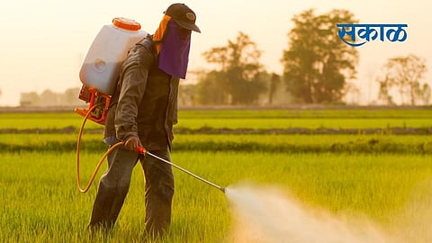 Death of a farmer in Pune while spraying pesticides