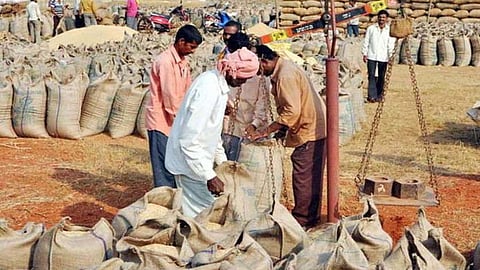Dhaan Kharedi