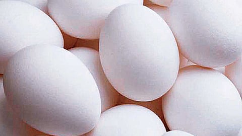 Egg prices have surged as temperature falls down