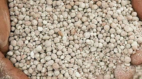 Fertilizer