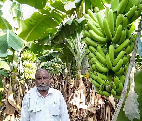 Girgaon keli.jpg