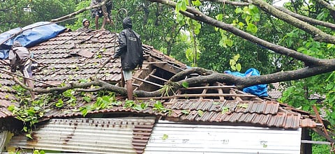 compensation issues konkan sindhudurg