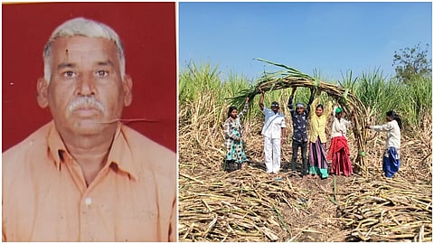 Karche Sugarcane
