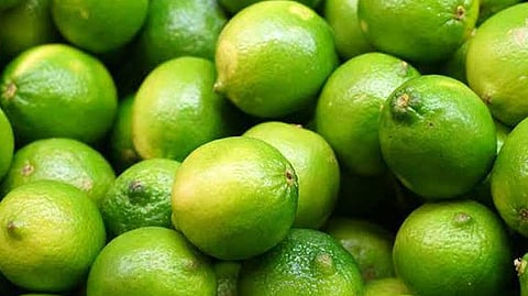 lemon