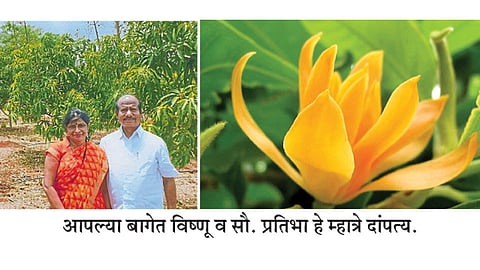 Mhatre-Family
