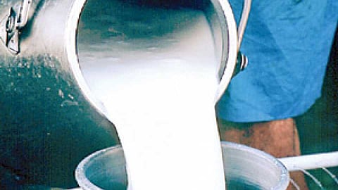 Milk