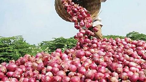 onion